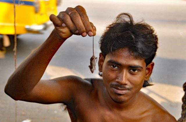 junge-mit-maus-kolkata-2012