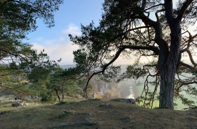 zwoelf-apostel-altmuehltal