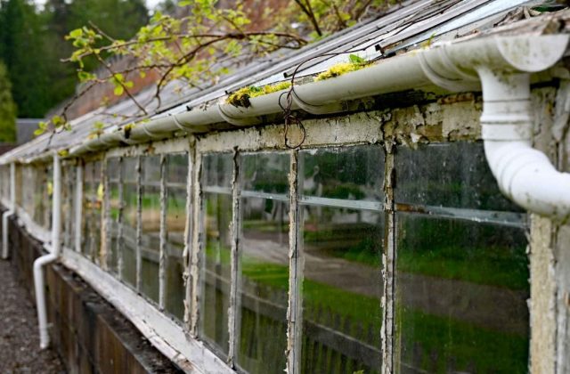 schottland-gewaechshaus