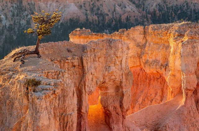 bryce-canyon-utah