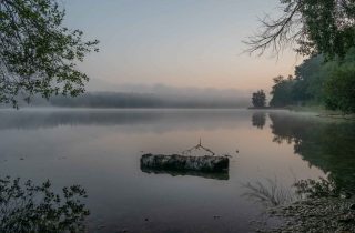 hofstaetter-see-nebel