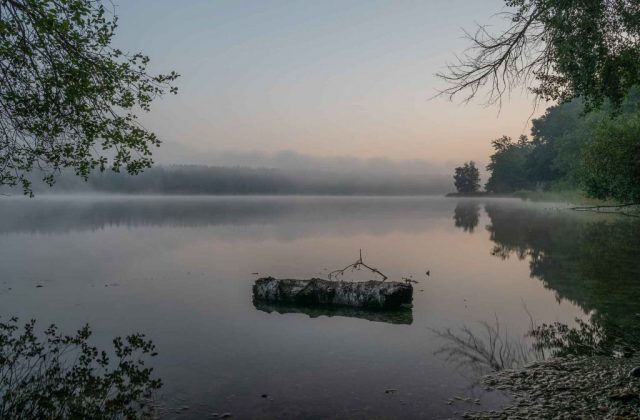 hofstaetter-see-nebel