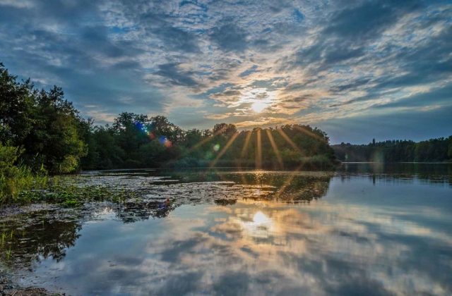 rinssee-sonnenuntergang