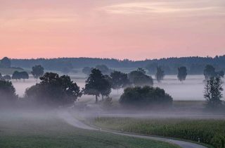 morgennebel-dachauer-hinterland