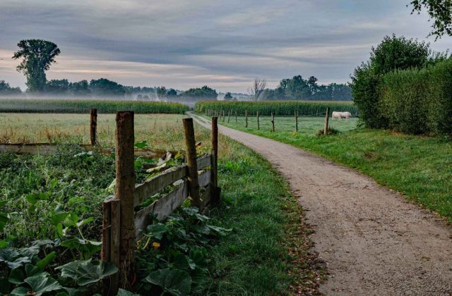glonn-markt-indersdorf