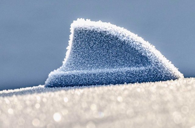 vereiste-autoantenne