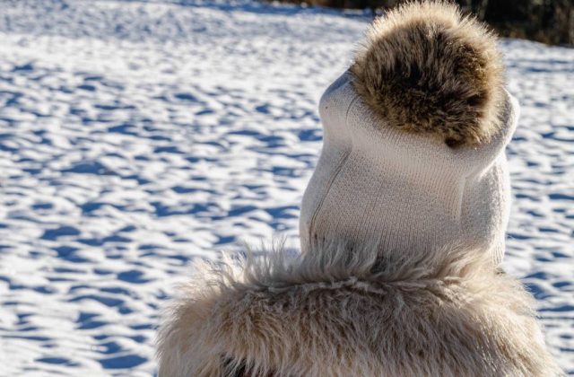 pudelmuetze-fellkragen