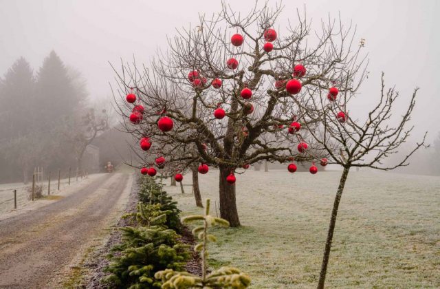 weihnachtsbaum-christbaumkugeln