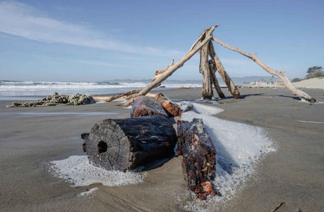 pacific-coast-california-monterey